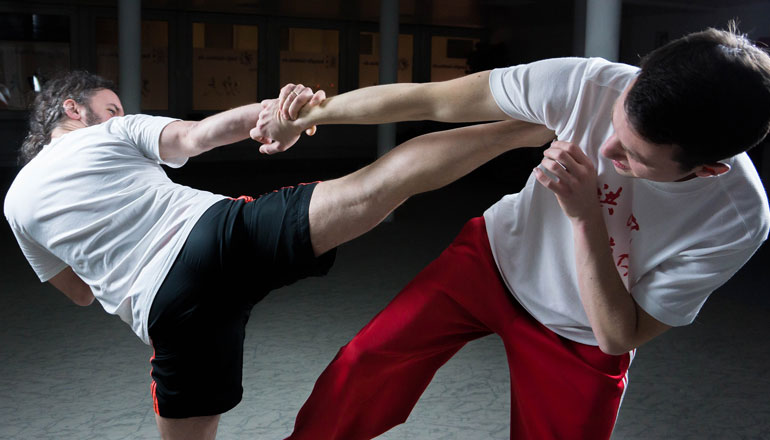 Kung Fu – Wing Chun